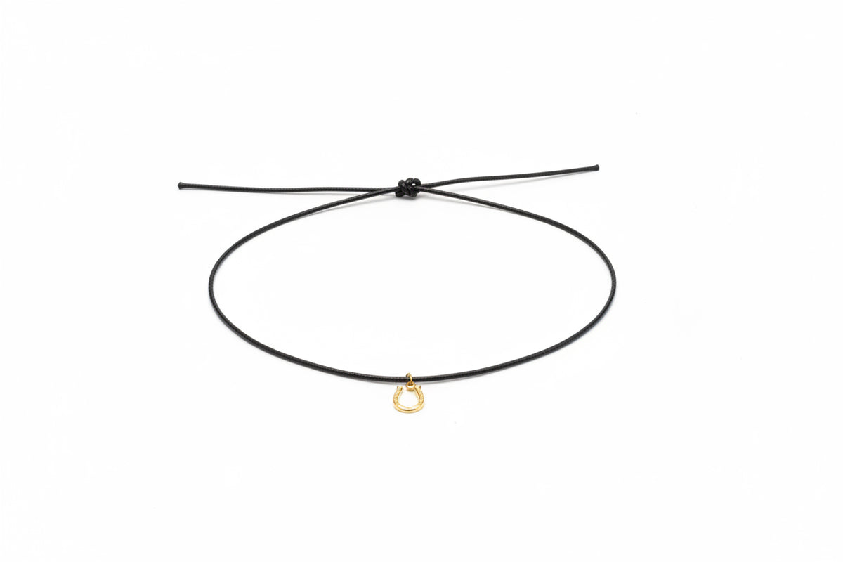 Leather Necklace with Horseshoe Charm