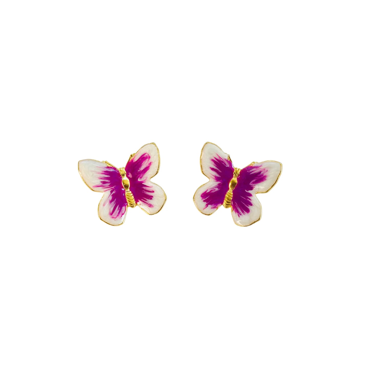 Small Glassine Butterfly in Tropical