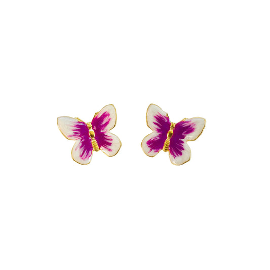Small Glassine Butterfly in Tropical
