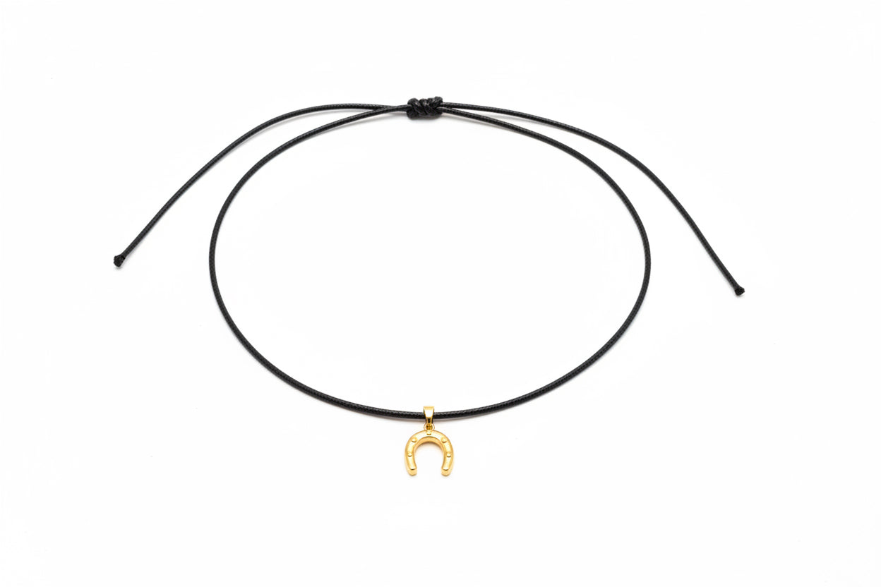 Leather Necklace with Horseshoe Charm