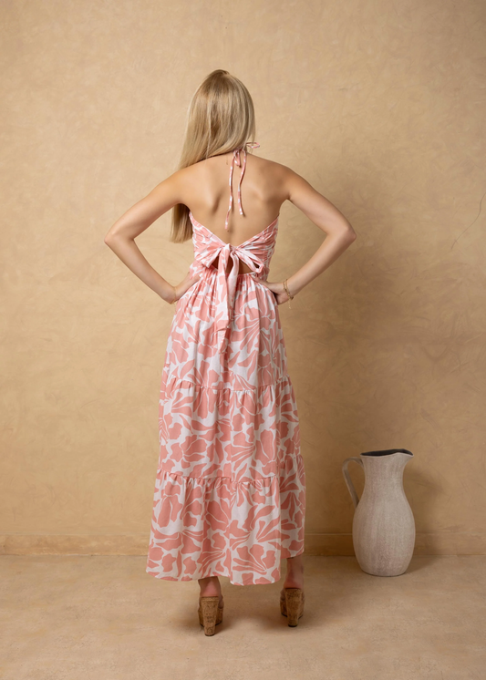 Paola Print Maxi Dress